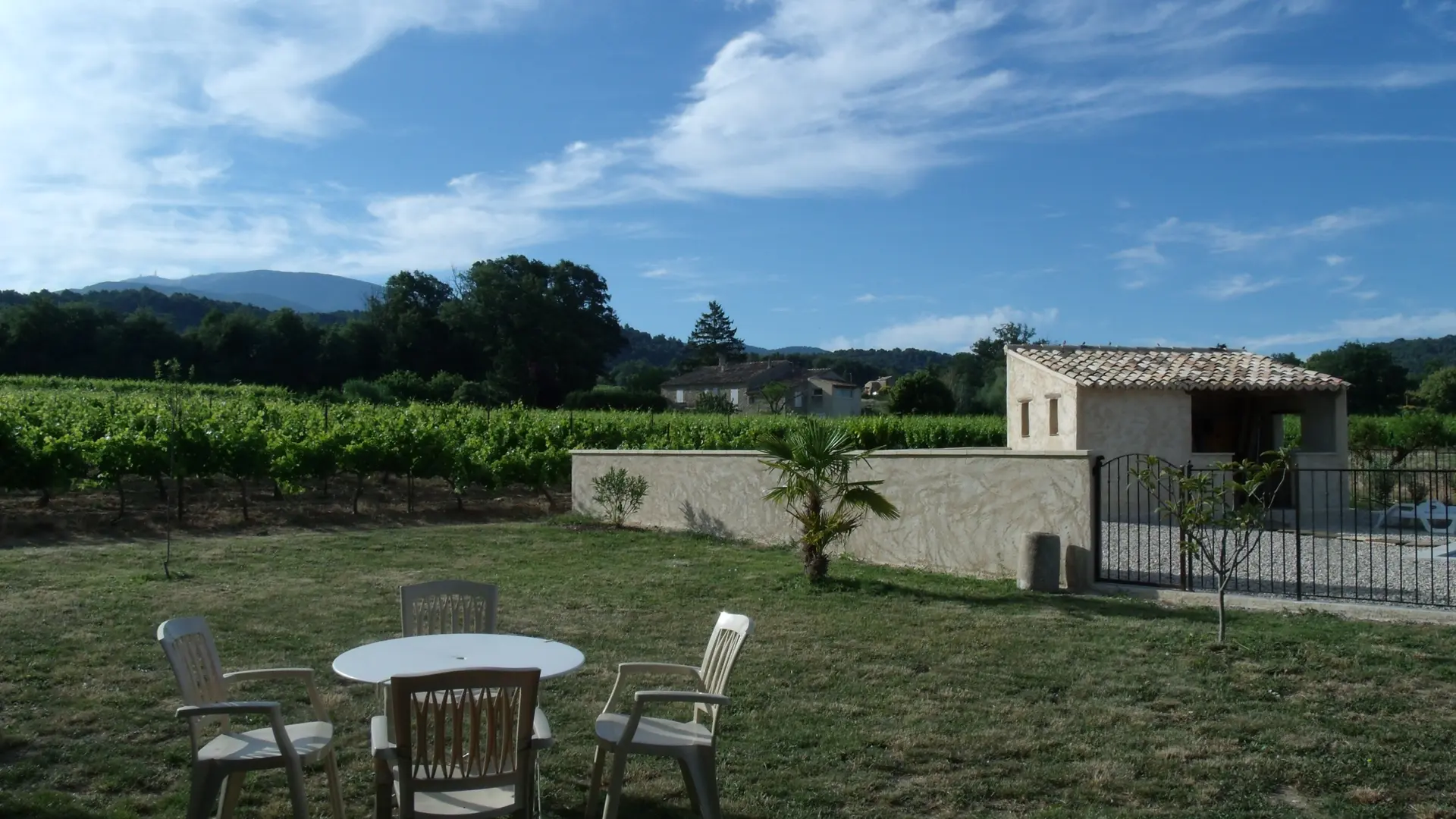 Vue vignoble