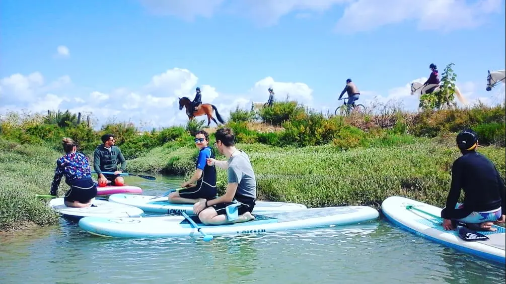 Randonnée en paddle dans l'île de Ré