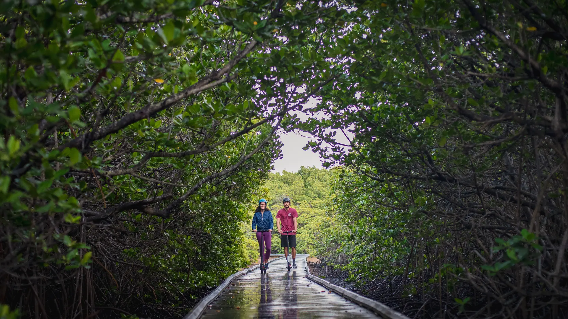 Parcours de la mangrove Ouémo