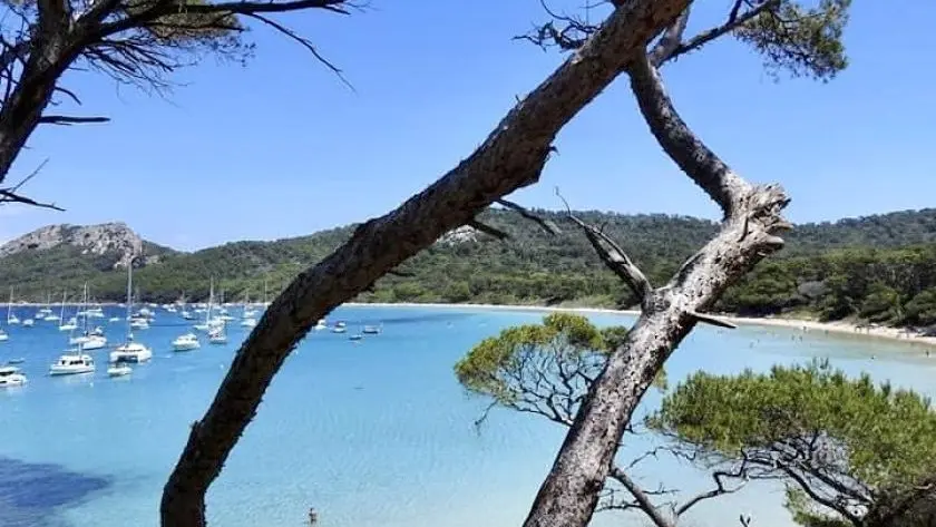 Ile de Porquerolles