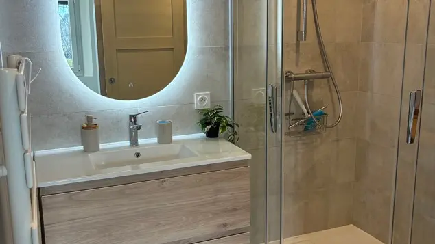 Une salle d'eau moderne comprend un meuble vasque en bois clair surmonté d'un miroir ovale rétroéclairé, installé à côté d'une cabine de douche vitrée dans un espace carrelé de gris clair.