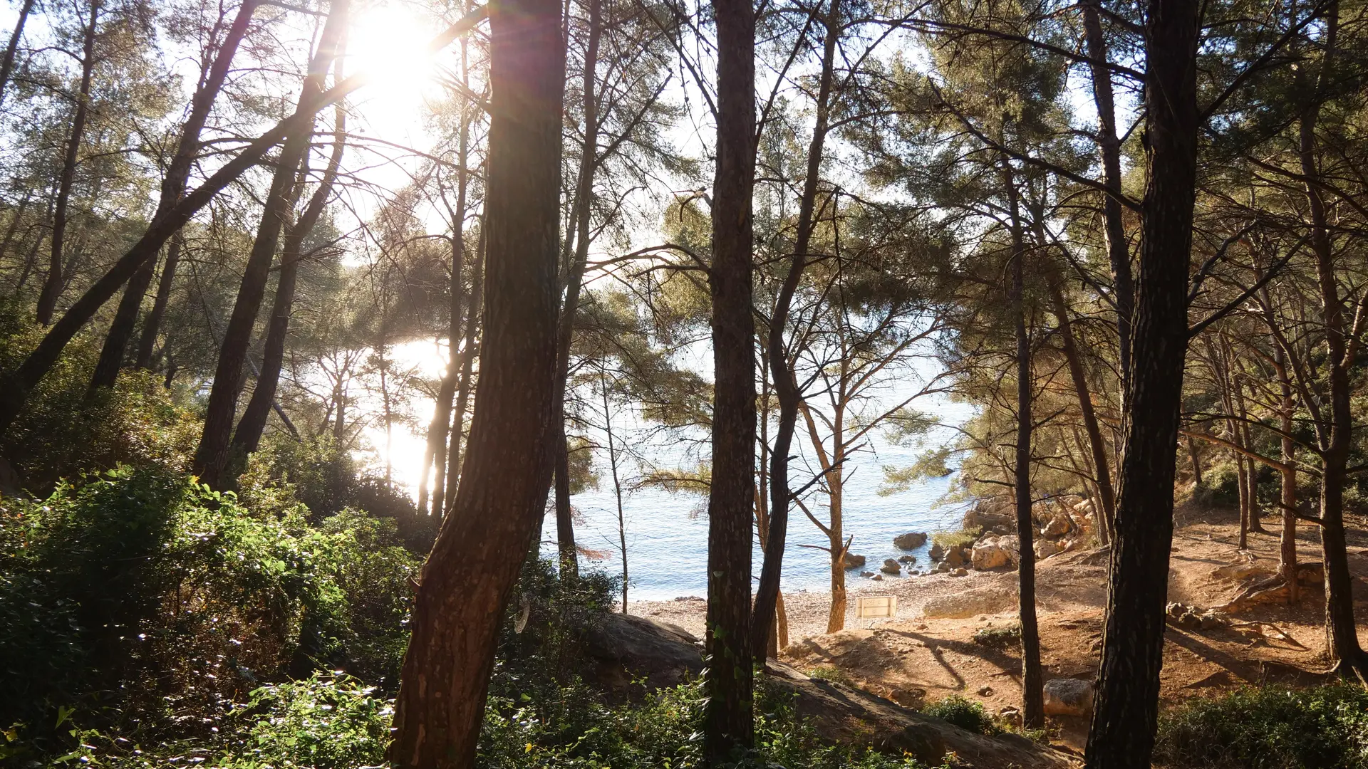 Le Sentier du littoral entre Port d'Alon et la Pointe Fauconnière