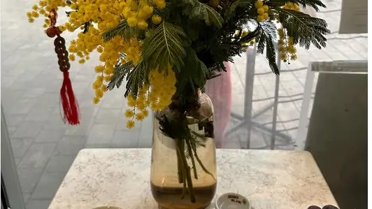 Restaurant Nguyen Hoang