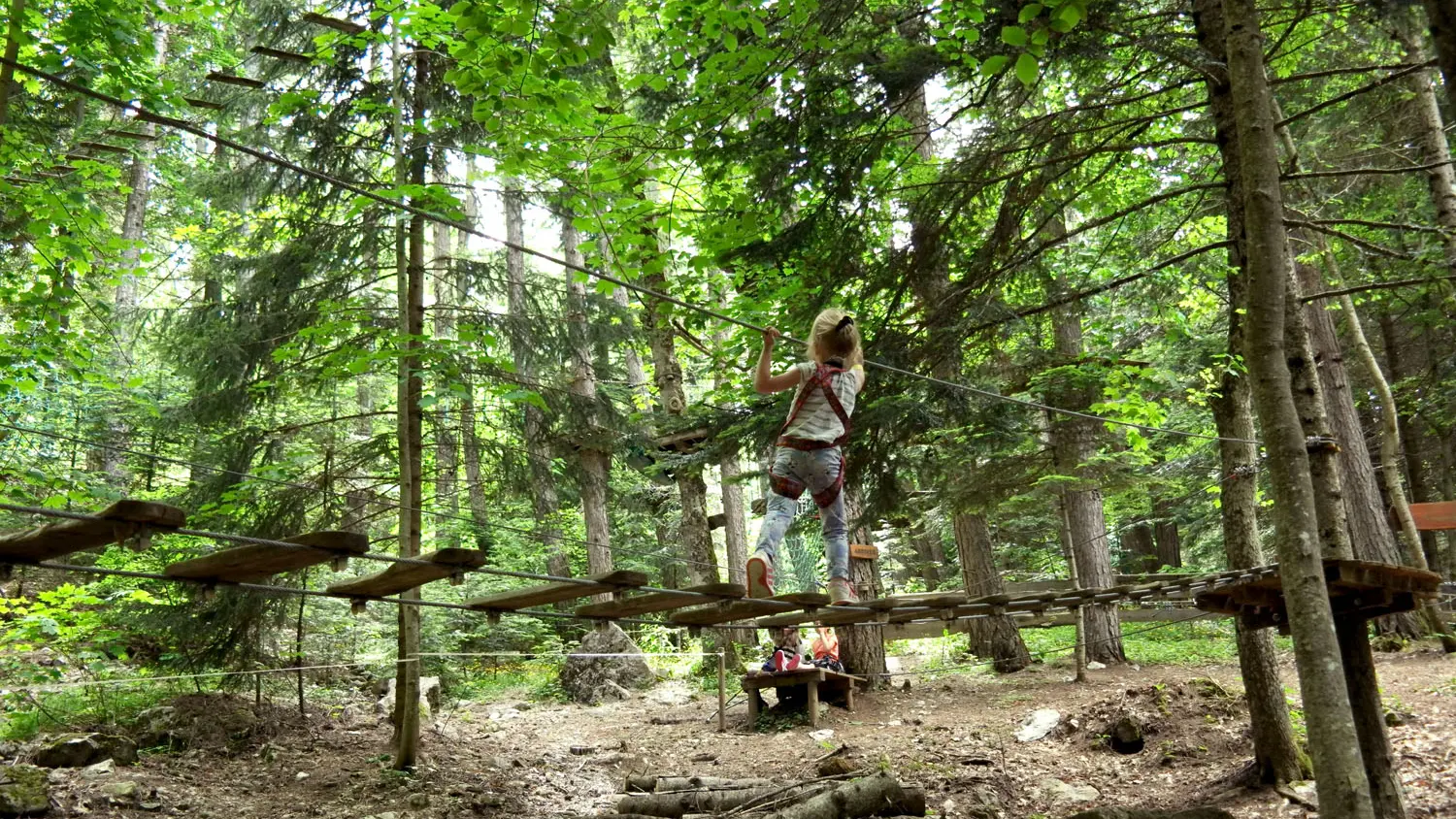 Jungle Laye, une aventure acrobatique en forêt à Laye, vallée du Champsaur