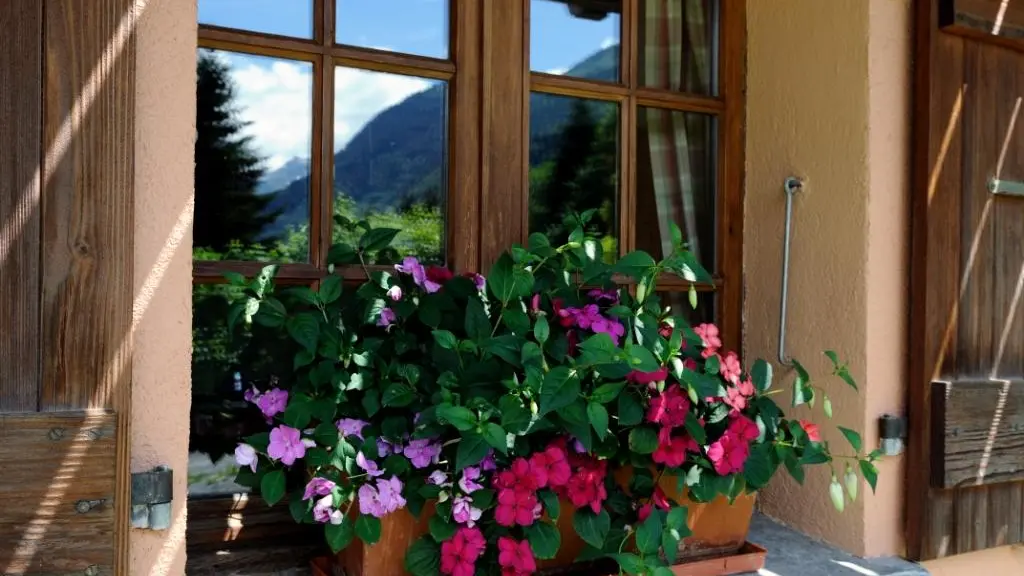 chalet bien fleuri