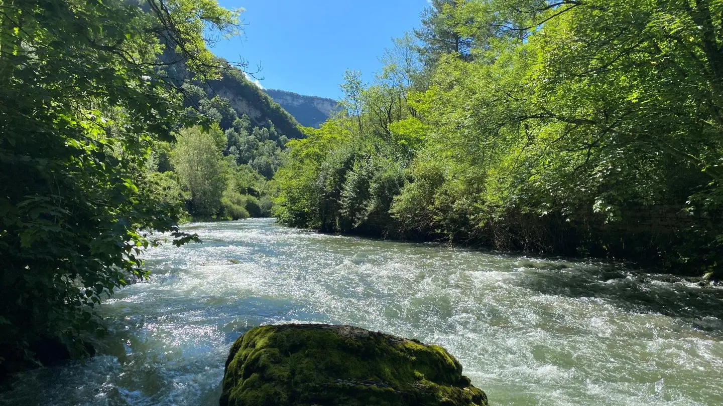 Rivière Albarine