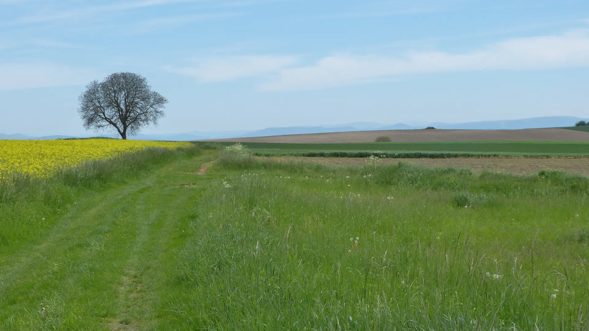 Randonnée Entre Limagne et Combrailles
