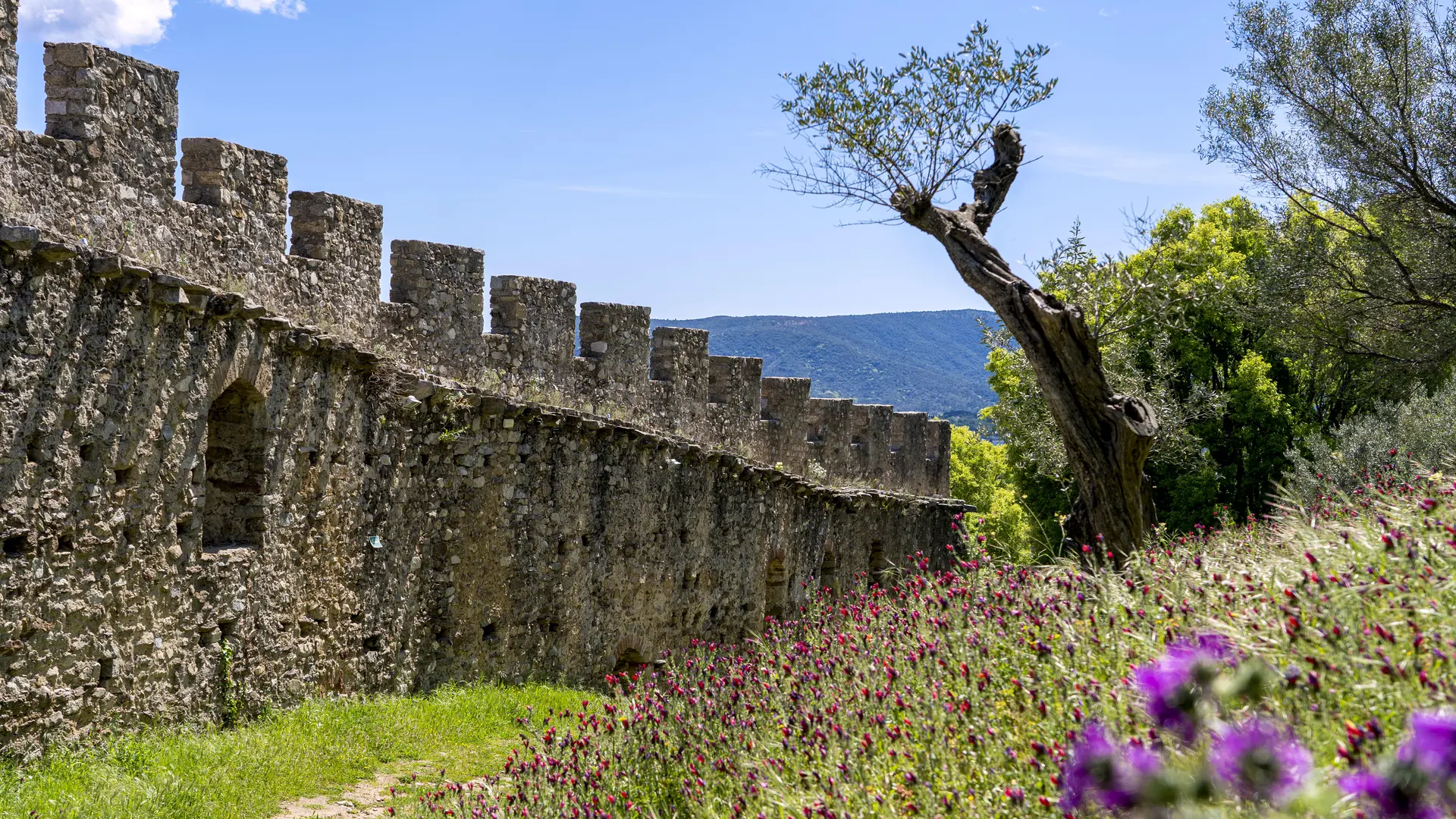 Château de Grimaud