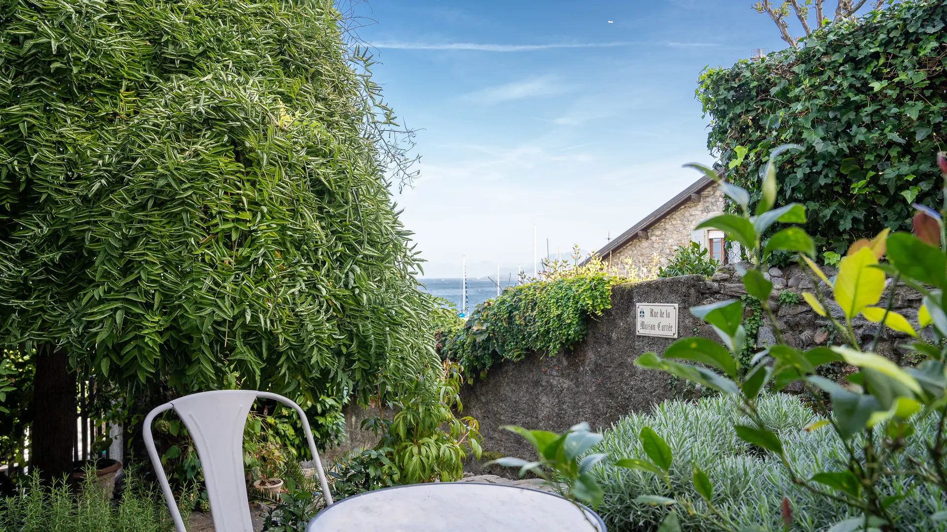 Vue sur le lac depuis la terrasse