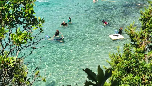 Sentier marin, une balade aquatique au Domaine du Rayol