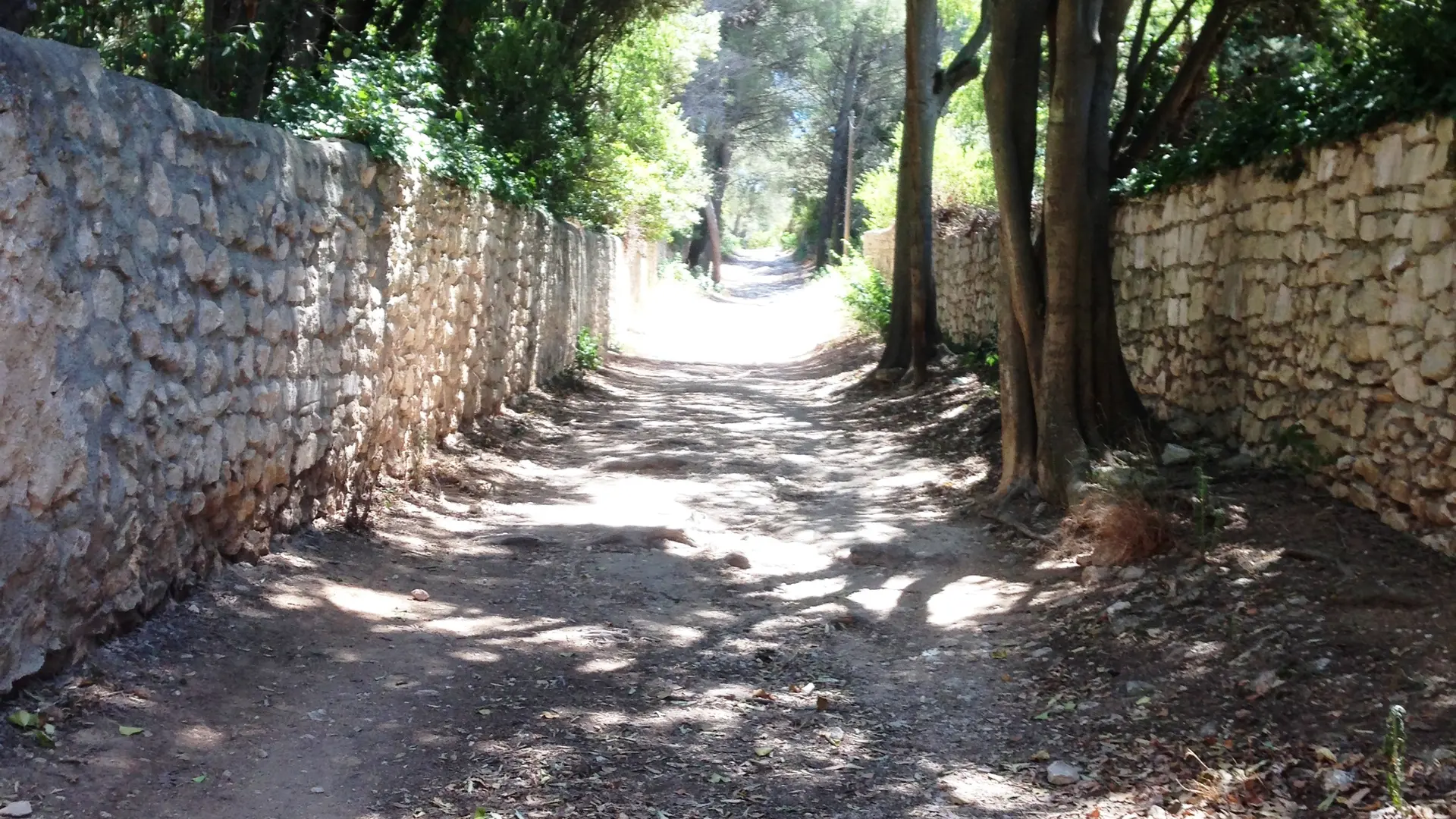 Sentier des moulins