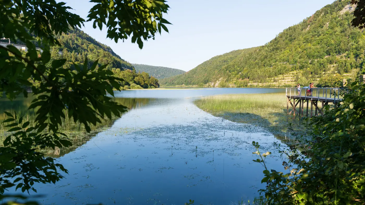 Paysage