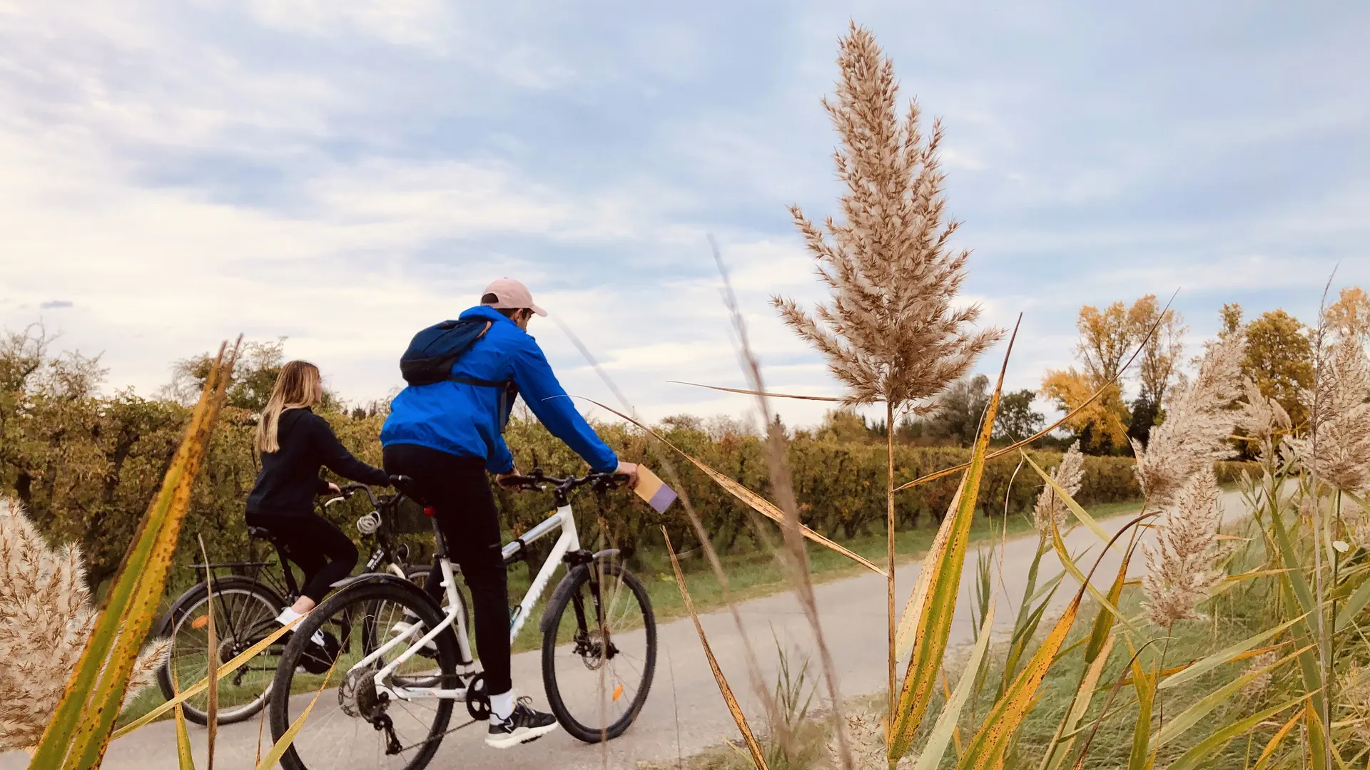vélo à Chateauneuf de Gadagne