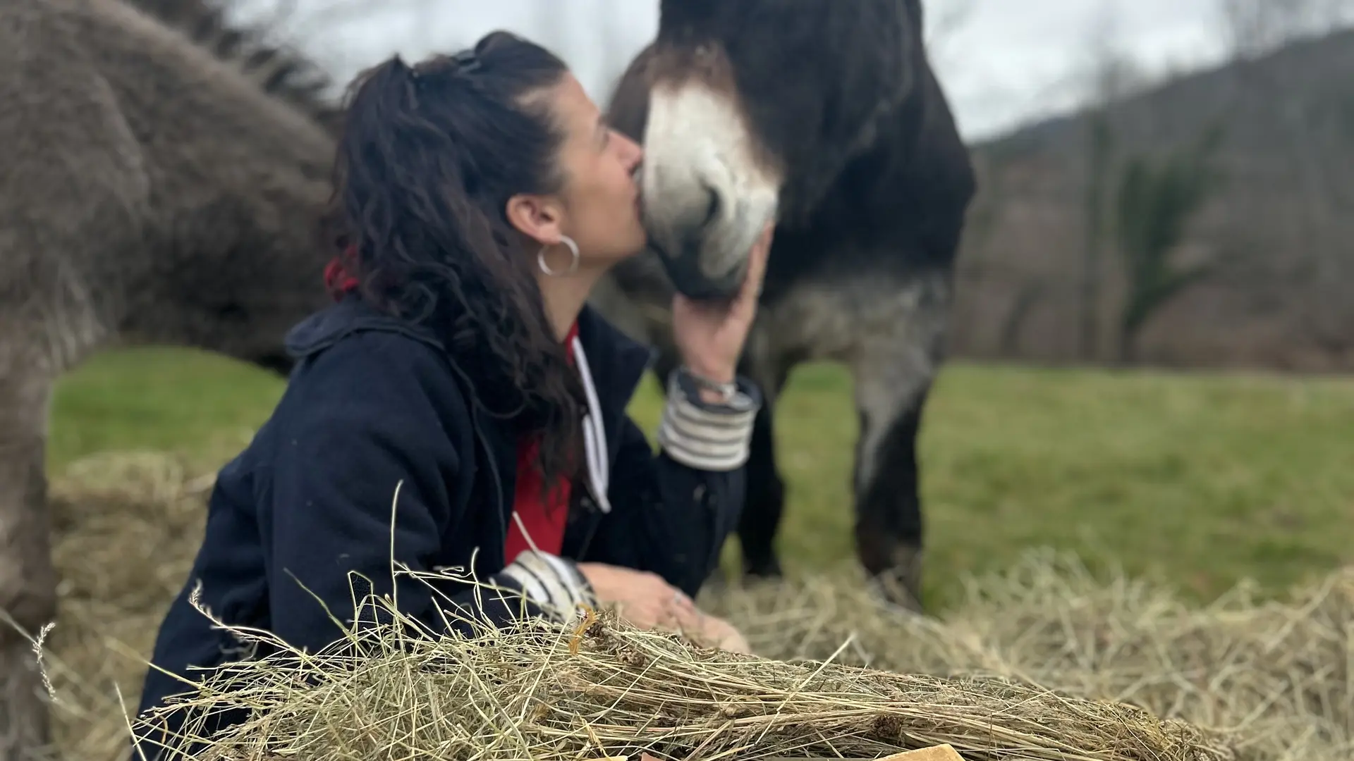 Anesse au Lait p'tits pieds