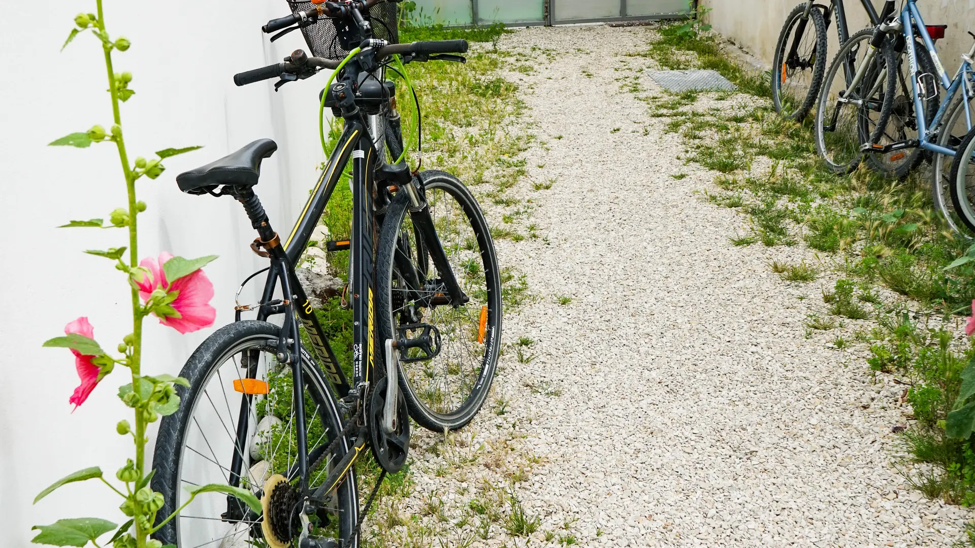 Le passage privé des Fillattes donnant accès à la maison des Fillattes sur la droite avec possibilité de parquer les vélos le long des murs, passage végétalisé avec les incontournables Roses Trémières