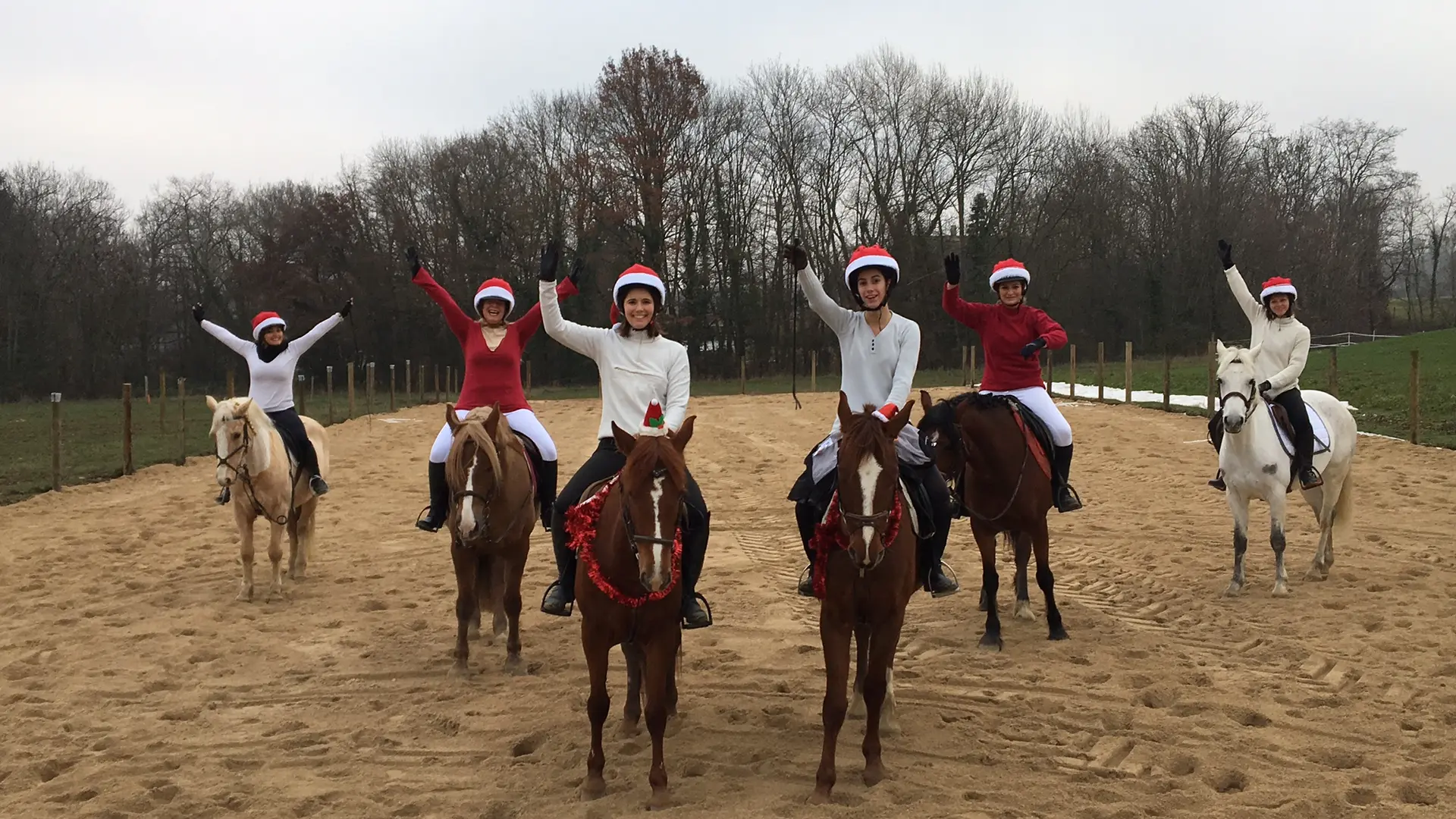 Pony park