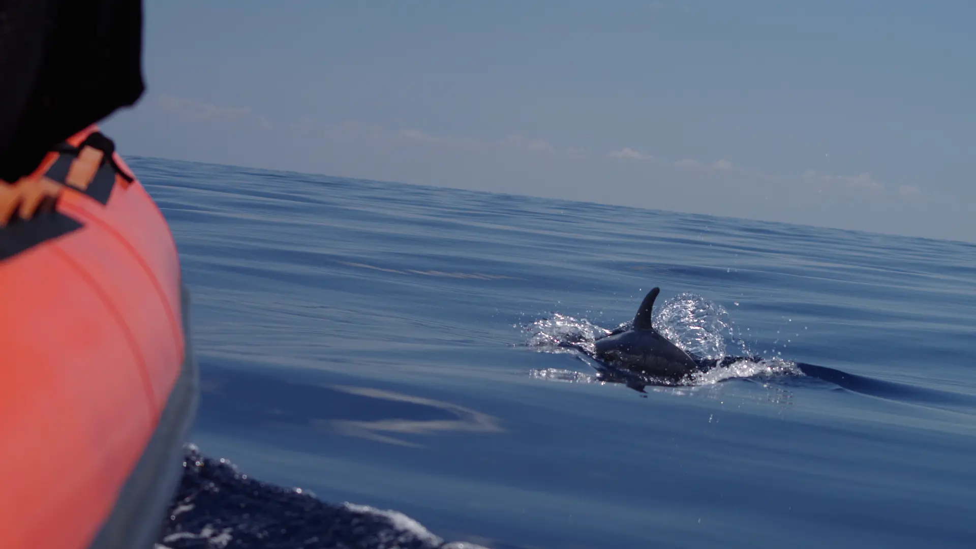 sea adventure