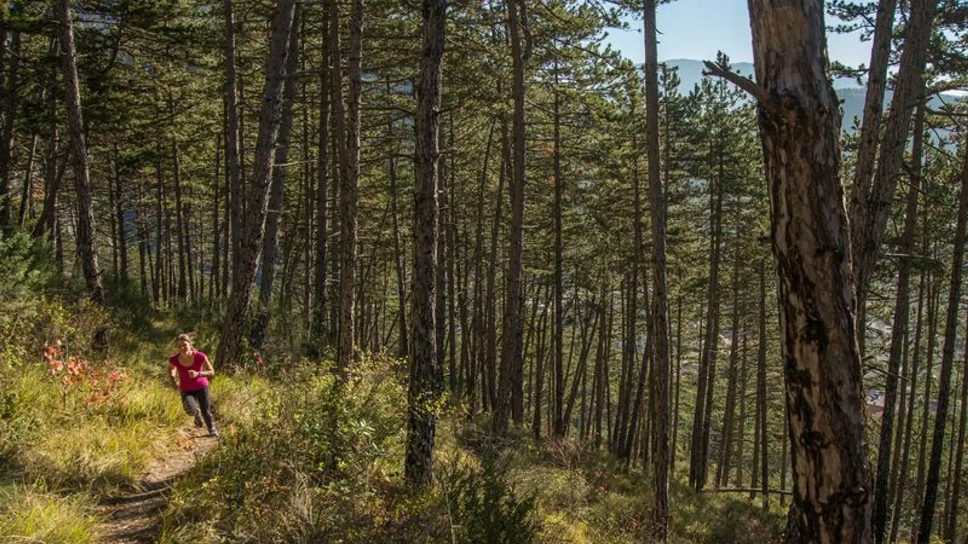 Passage en sous bois