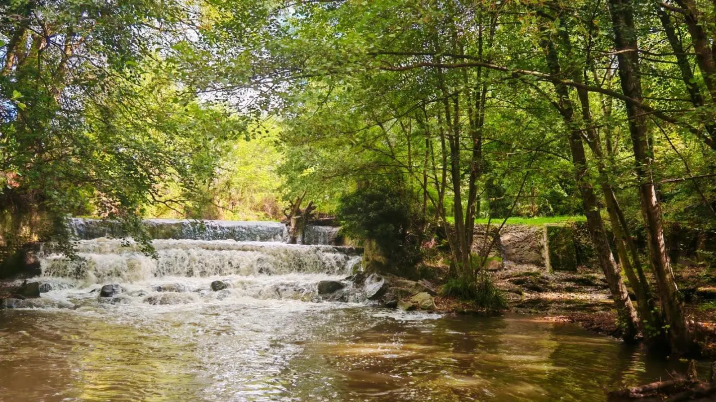Cascade accessible depuis le gîte par un petit sentier et quelques marches, à 50m