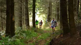 Trail à Saint-Nicolas-des-Biefs