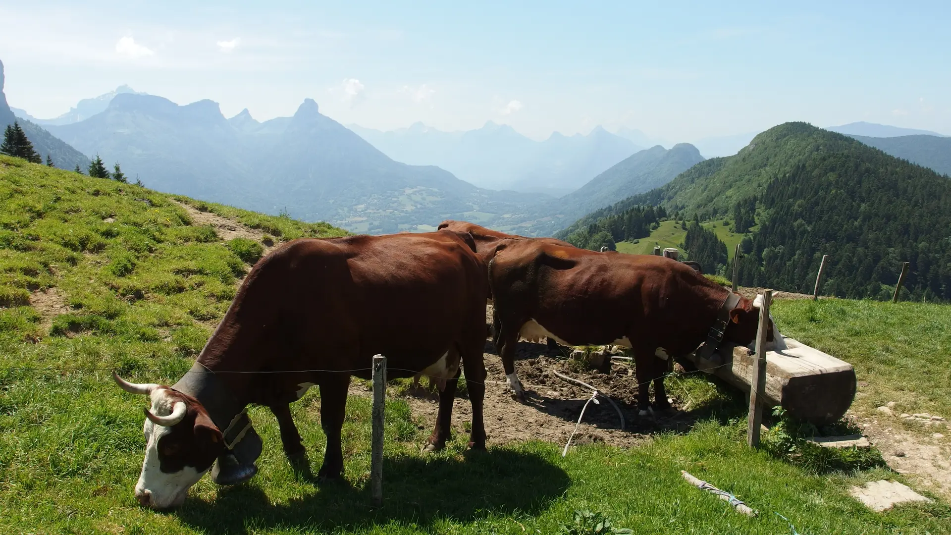 Alpage Chalet Chappuis - Photo sous licence Creative Commons https://creativecommons.org/licenses/by/2.0/