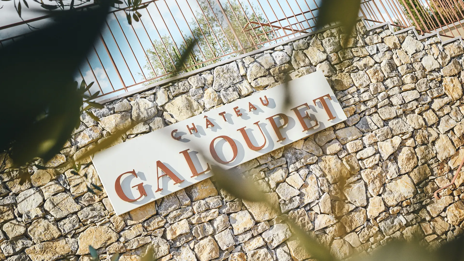 Visites et expériences au Château Galoupet