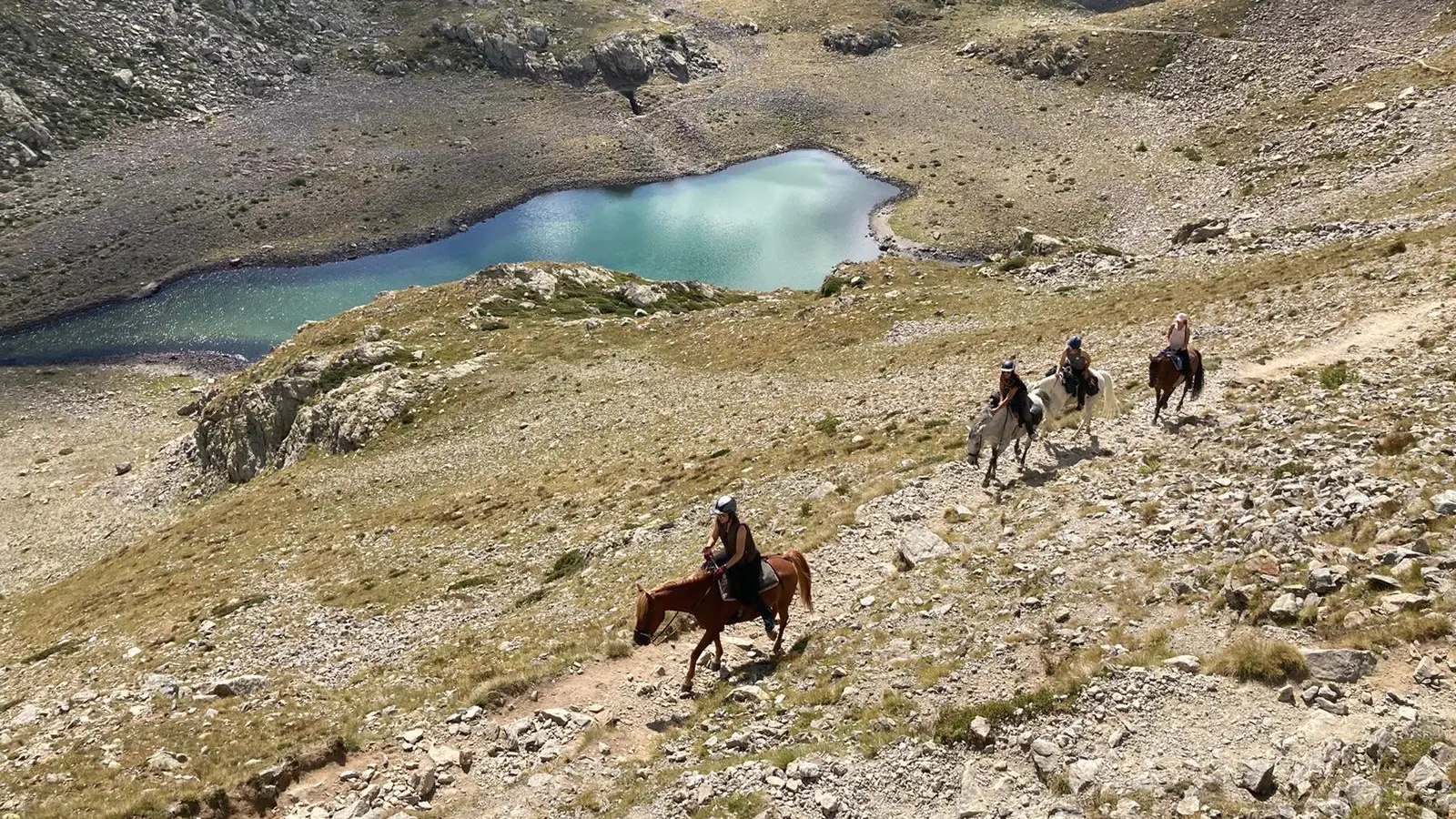 Randonnée à cheval