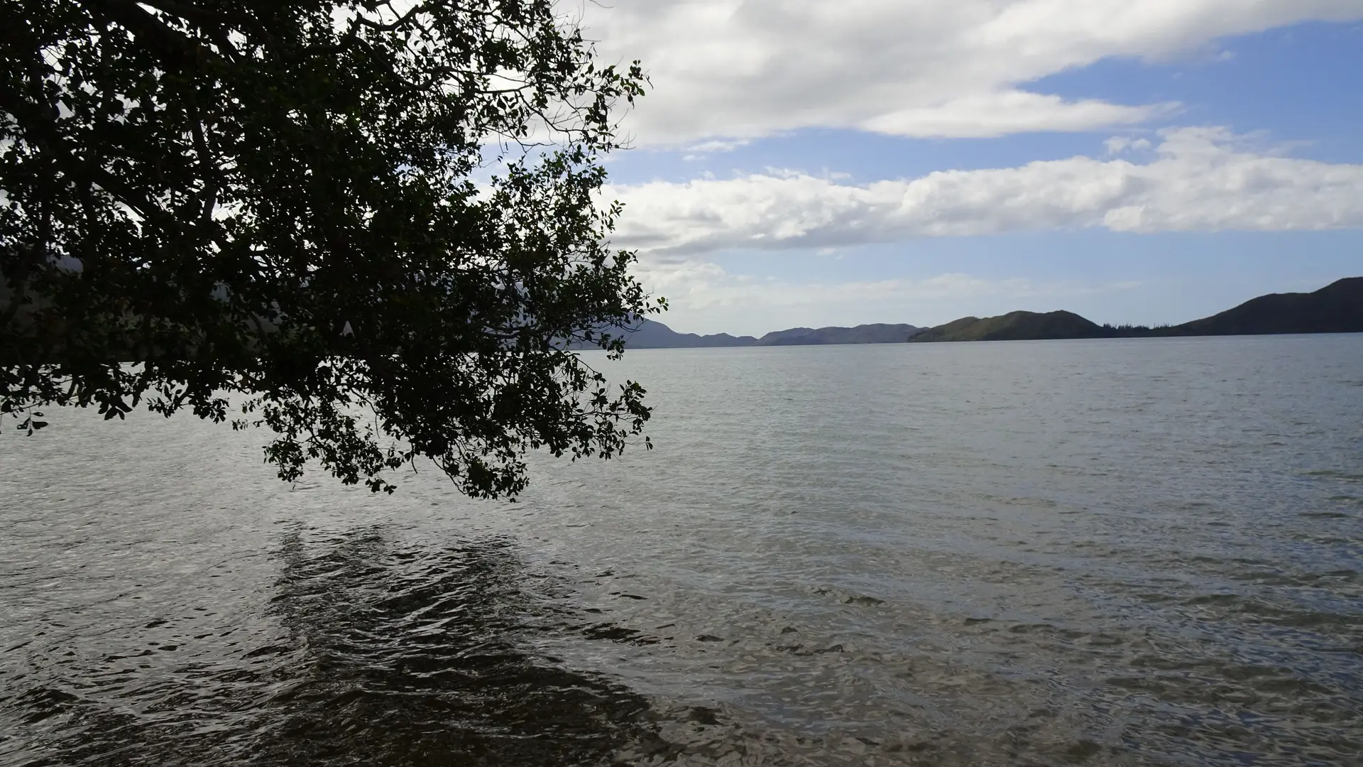 Bord de mer - Camping de Port Bouquet