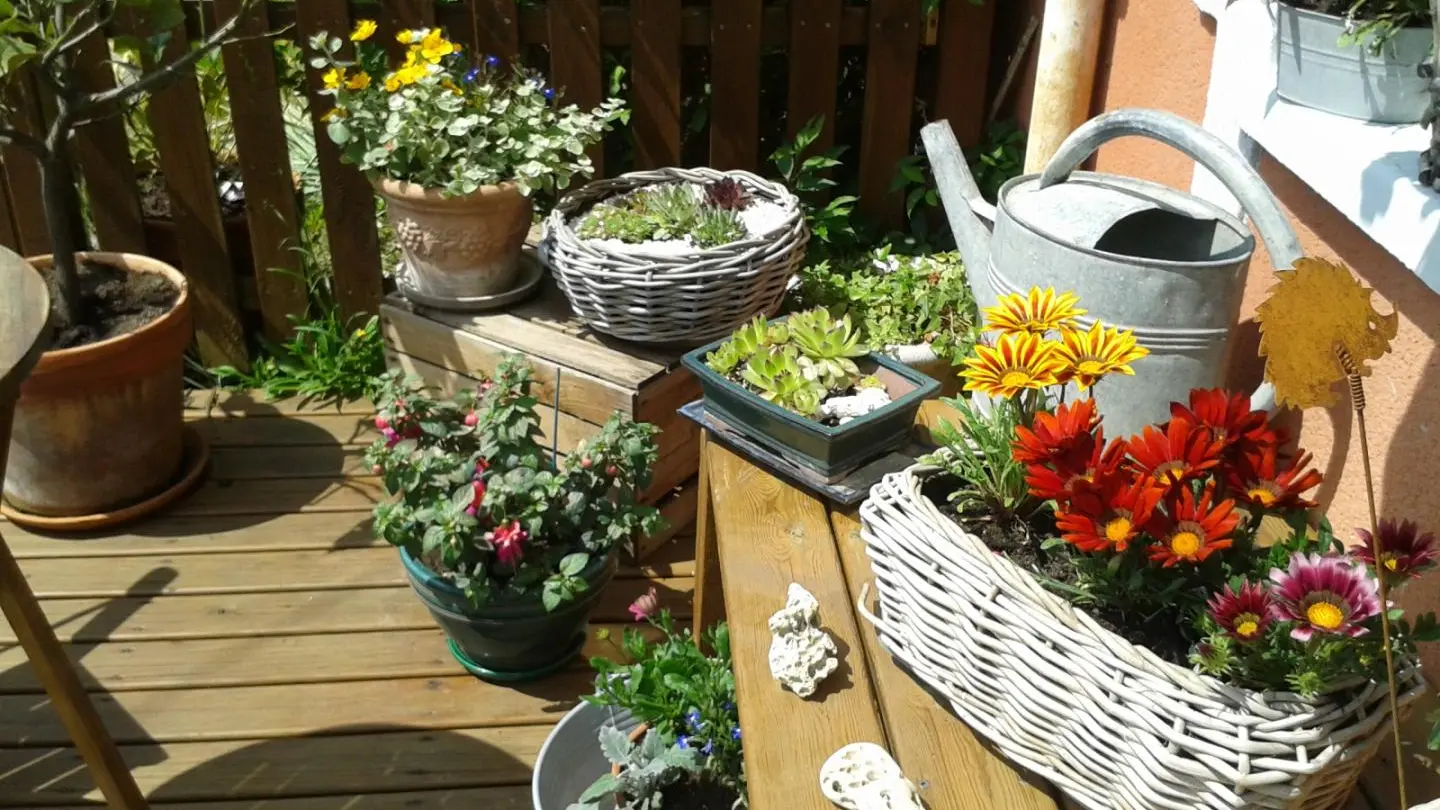 Terrasse devant la maison Allier Auvergne