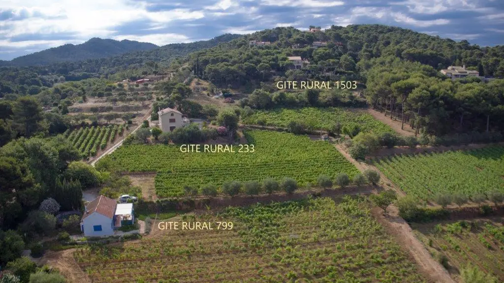 Les vignes et les gîtes