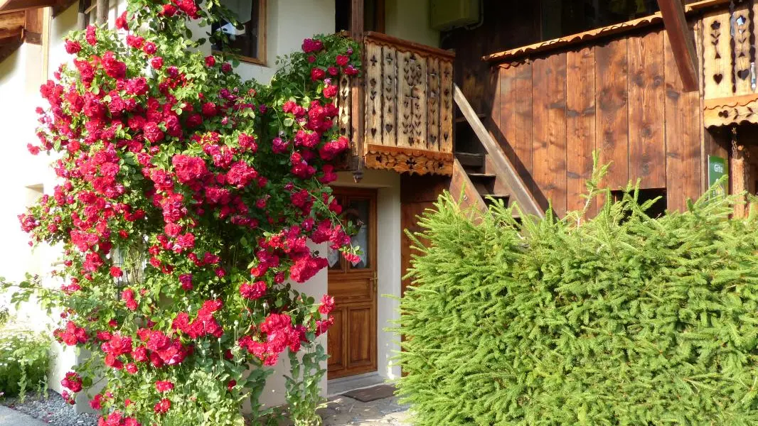 Entrée de l'appartement