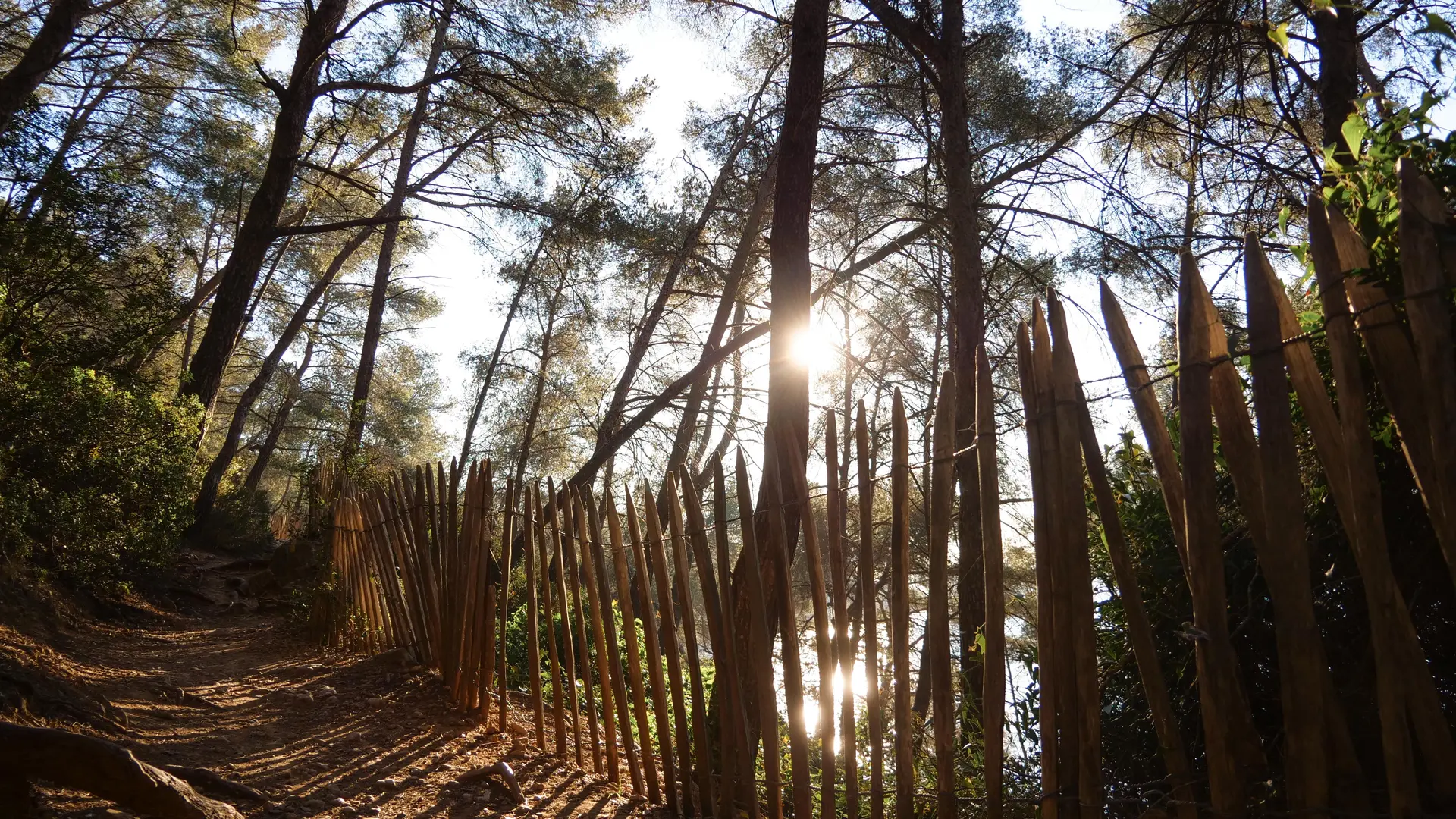Le Sentier du littoral entre Port d'Alon et la Pointe Fauconnière