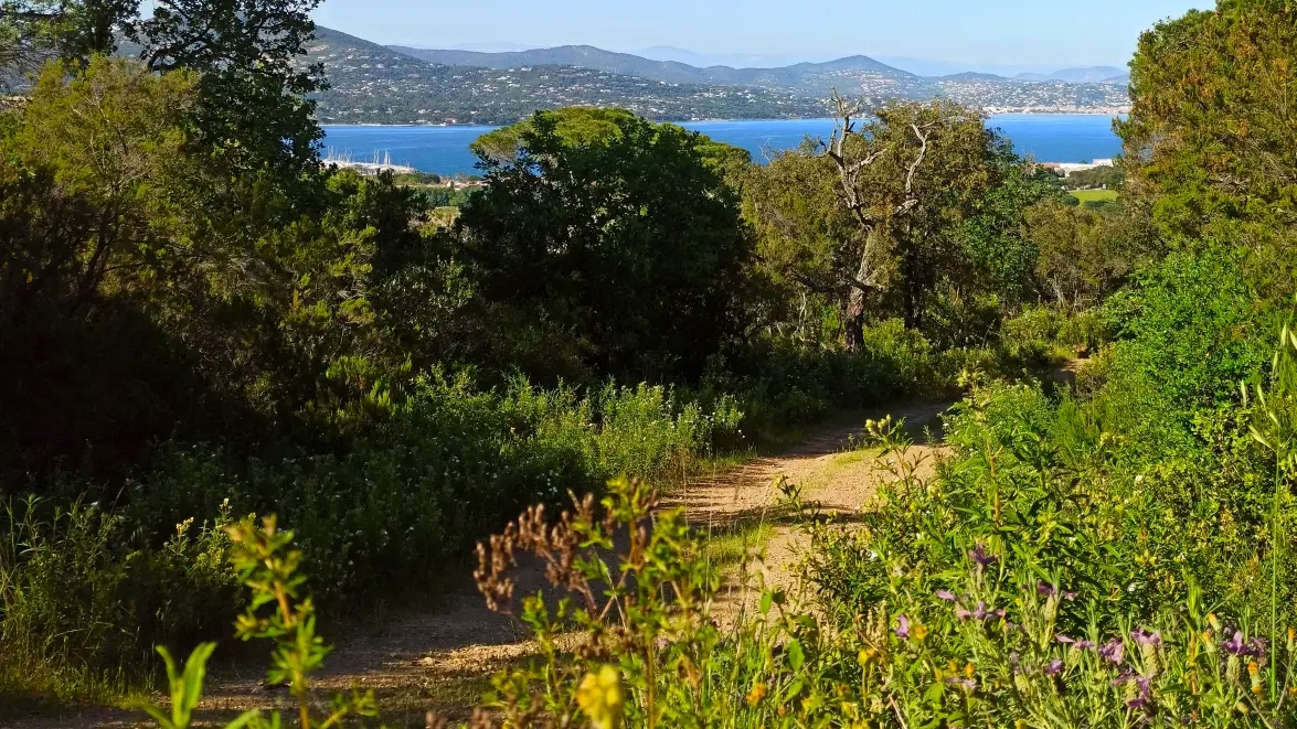 Vue sur le golfe de Saint-Tropez https://gassin.eu