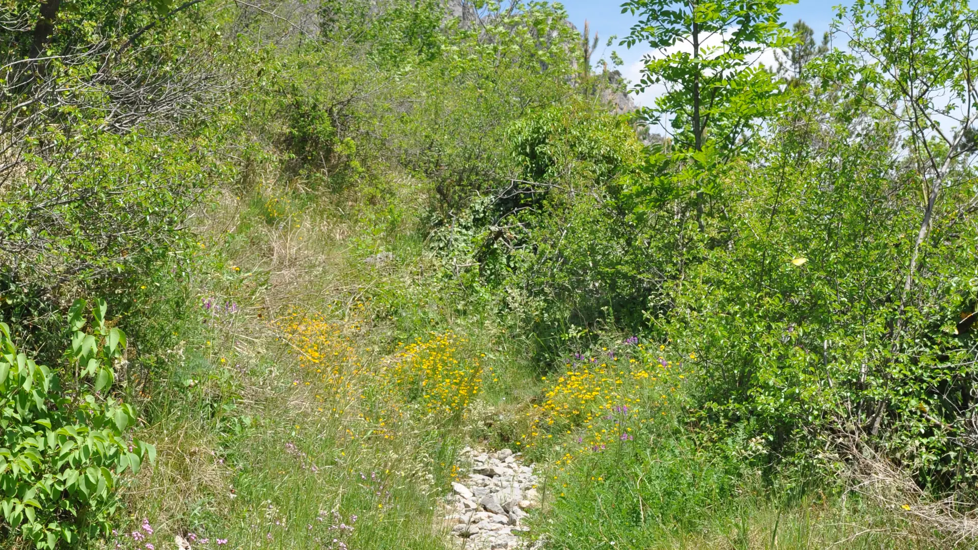 sentier du soleil la brigue