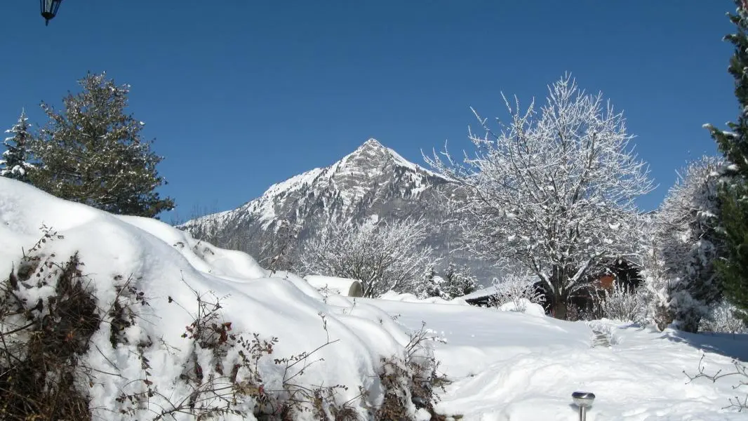 L'environnement de notre chalet en hiver