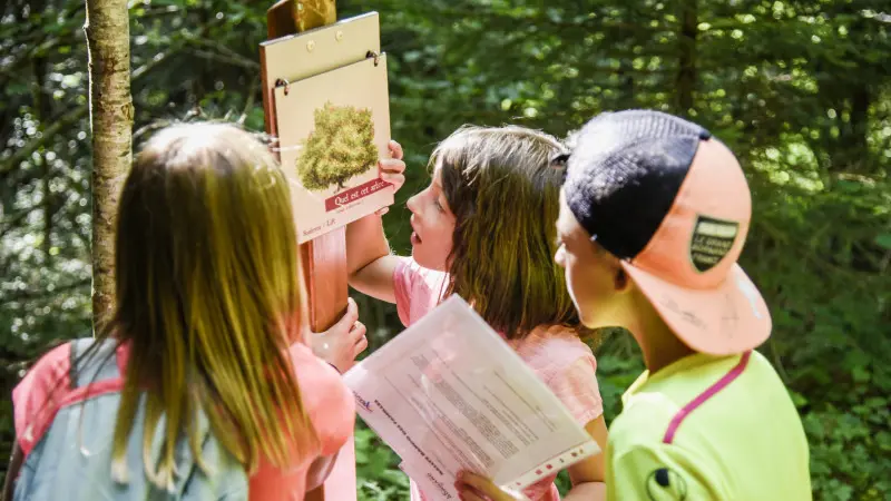 escape game nature