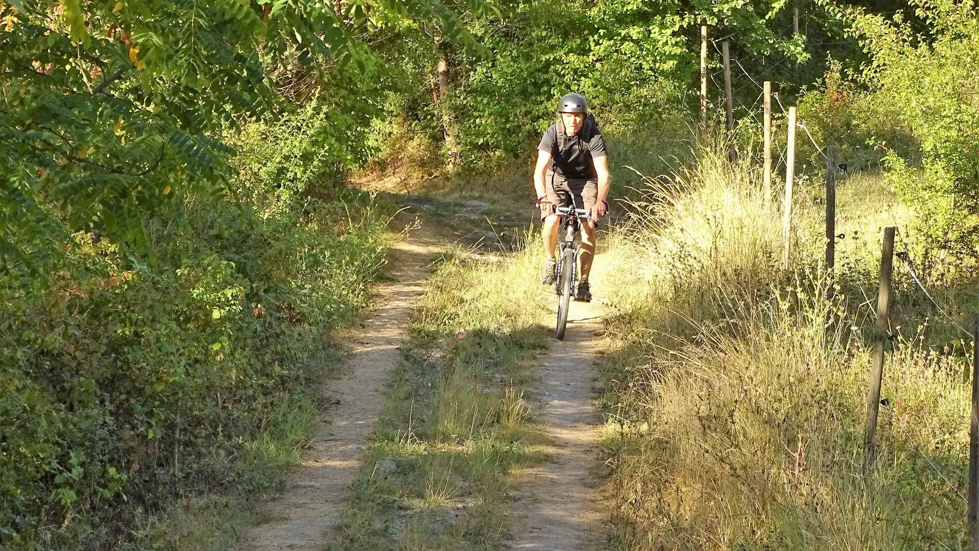 Belle piste ombragée