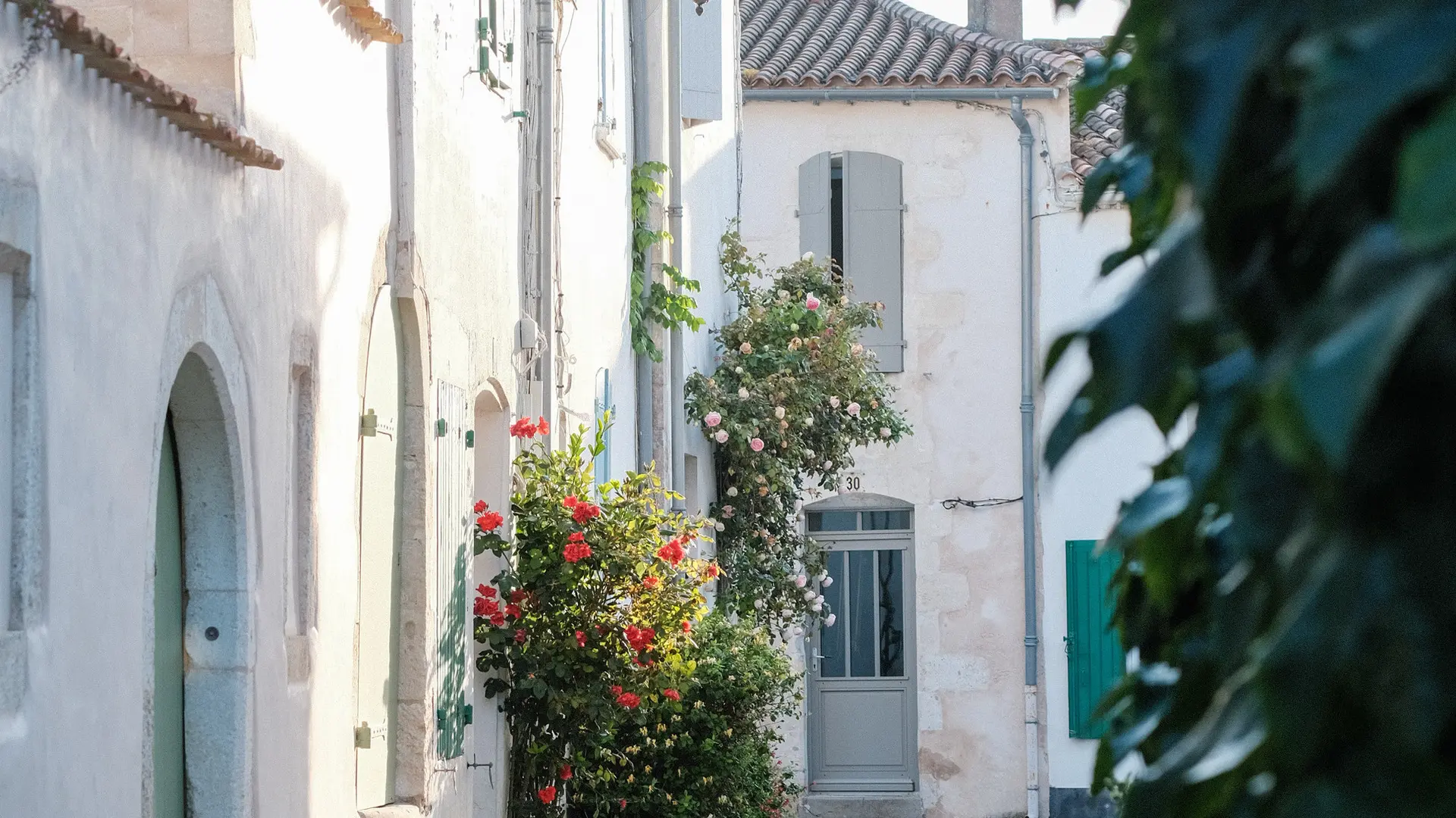 Je vous reçois à Saint-Martin-de-Ré pour ces ateliers Champagne