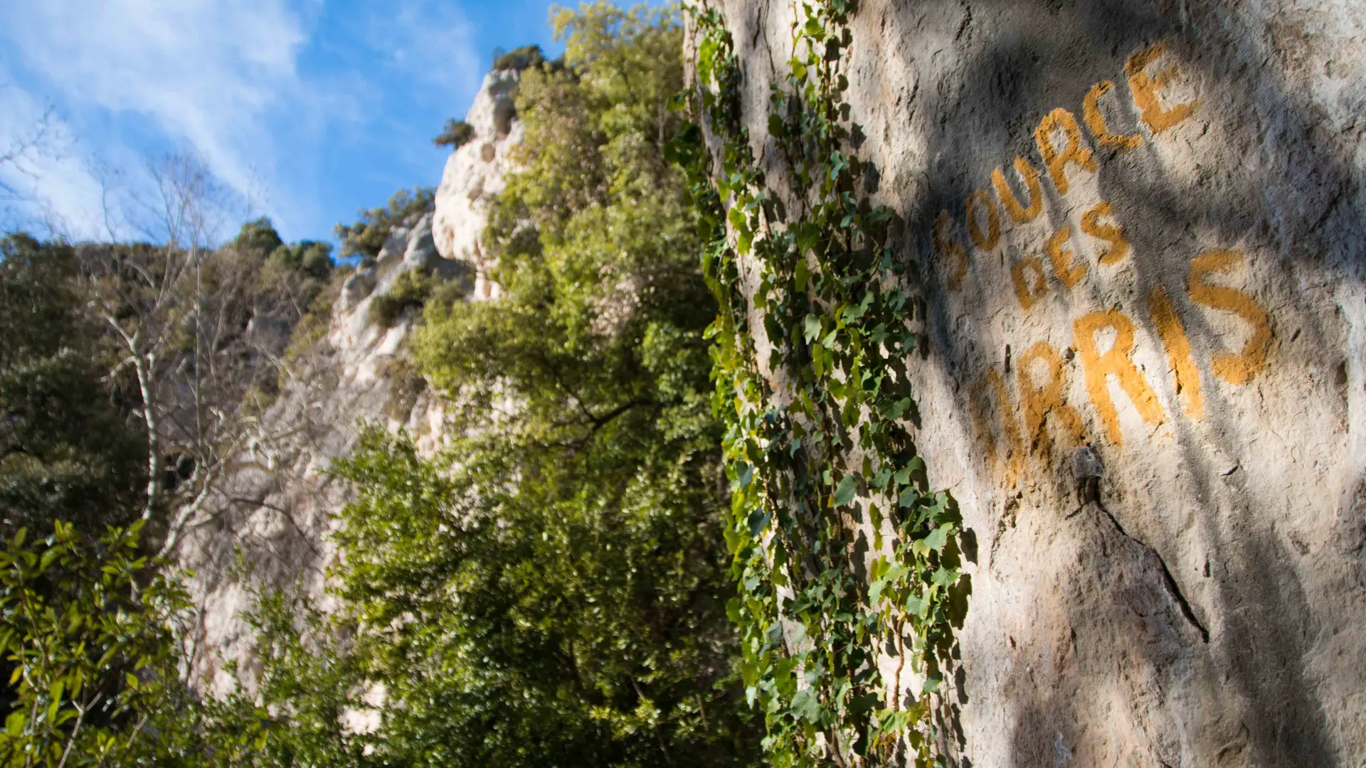 Source des Orris - La Roquebrussanne