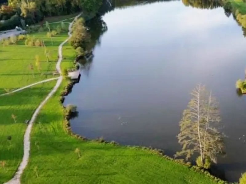 étang de Barjouville