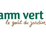 gamm vert