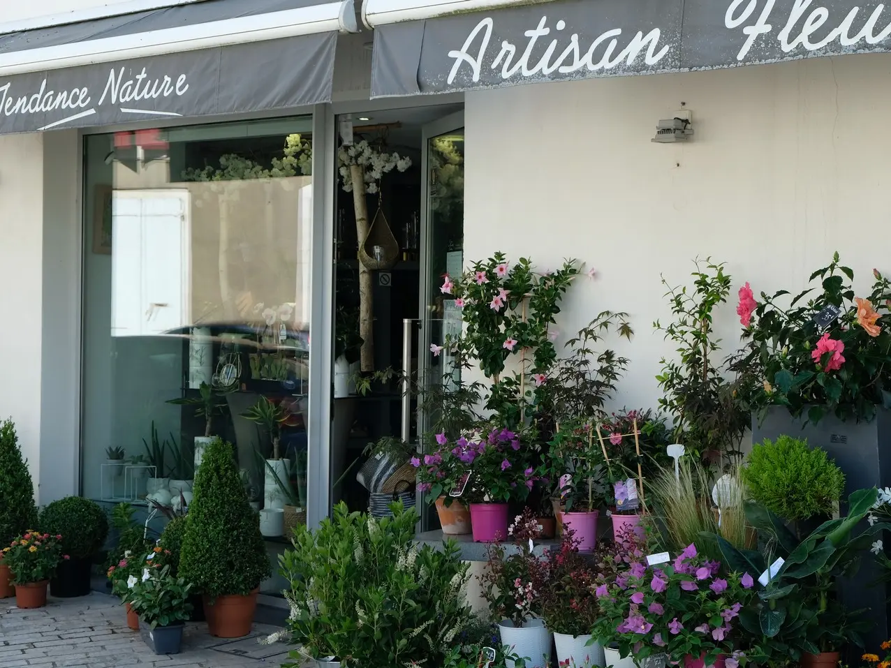 Atelier Tendance Nature