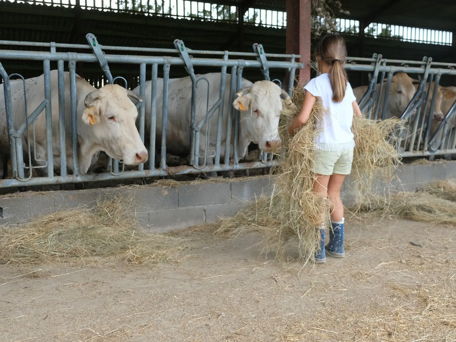 Les apprentis Eleveurs