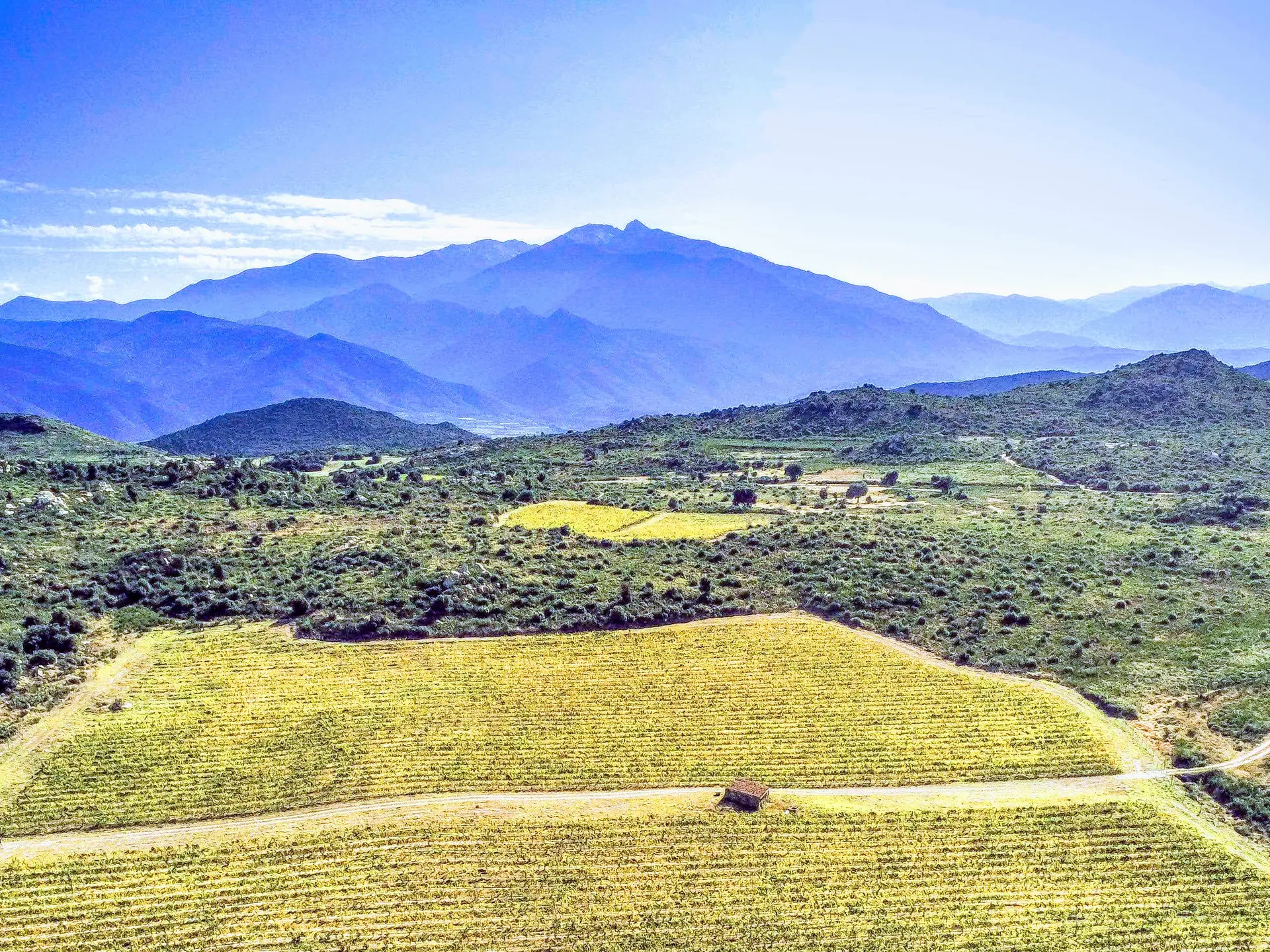 ALBERA vue du ciel