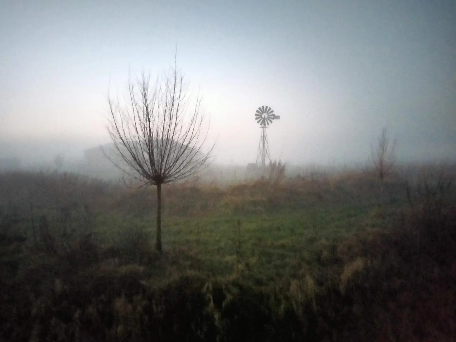 IMG20220113175020