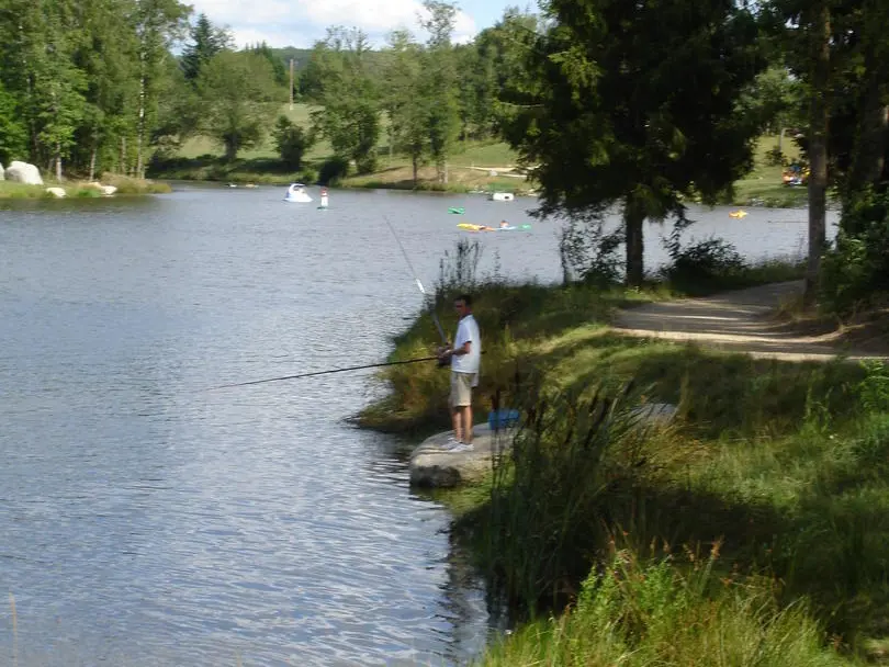 Etang des Nouailles