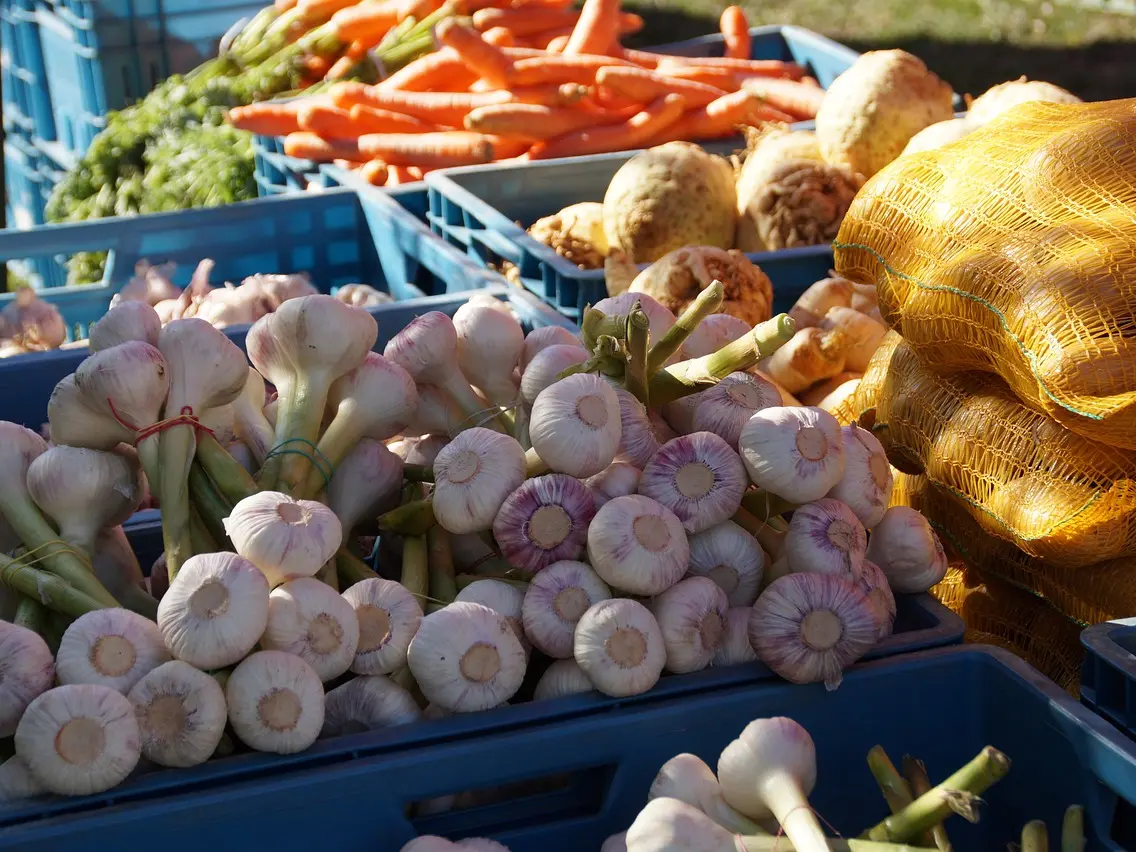 Marché du samedi à Ambazac