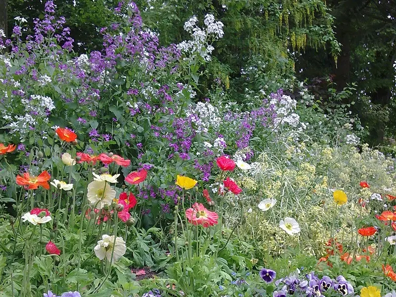 Perigueux-jardin-des-arenes-massif-de-fleurs-office-de-tourisme-de-perigueux-2