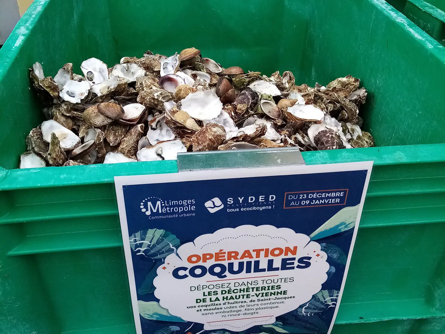 collecte de coquille