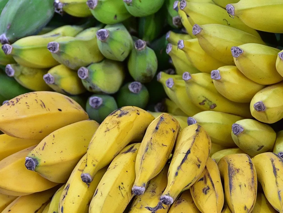 bananas-8364511_1280